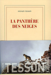 La panthère des neiges