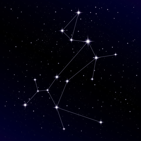 Canis Major